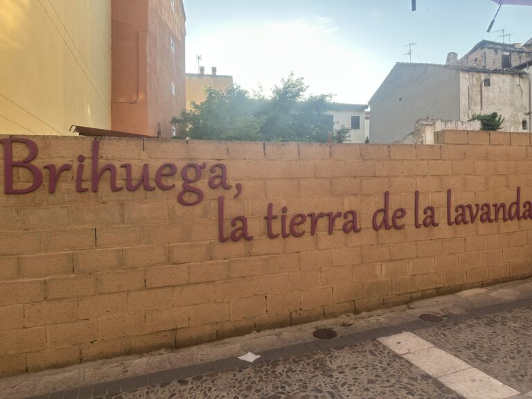 ¿Cómo visitar los campos de lavanda en Brihuega?