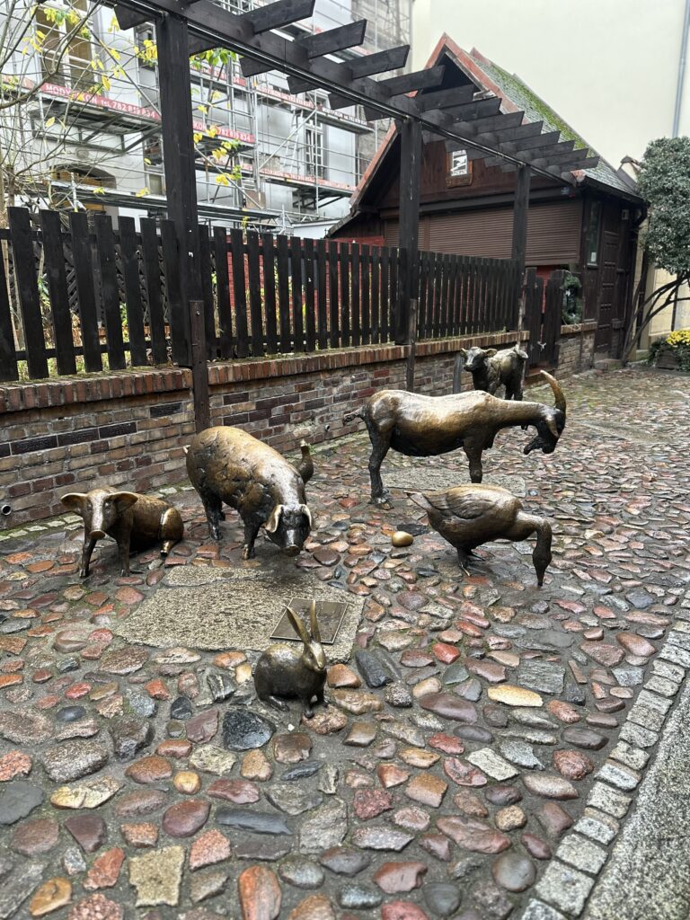 Callejón de los carniceros. ¿Qué visitar en Breslavia?