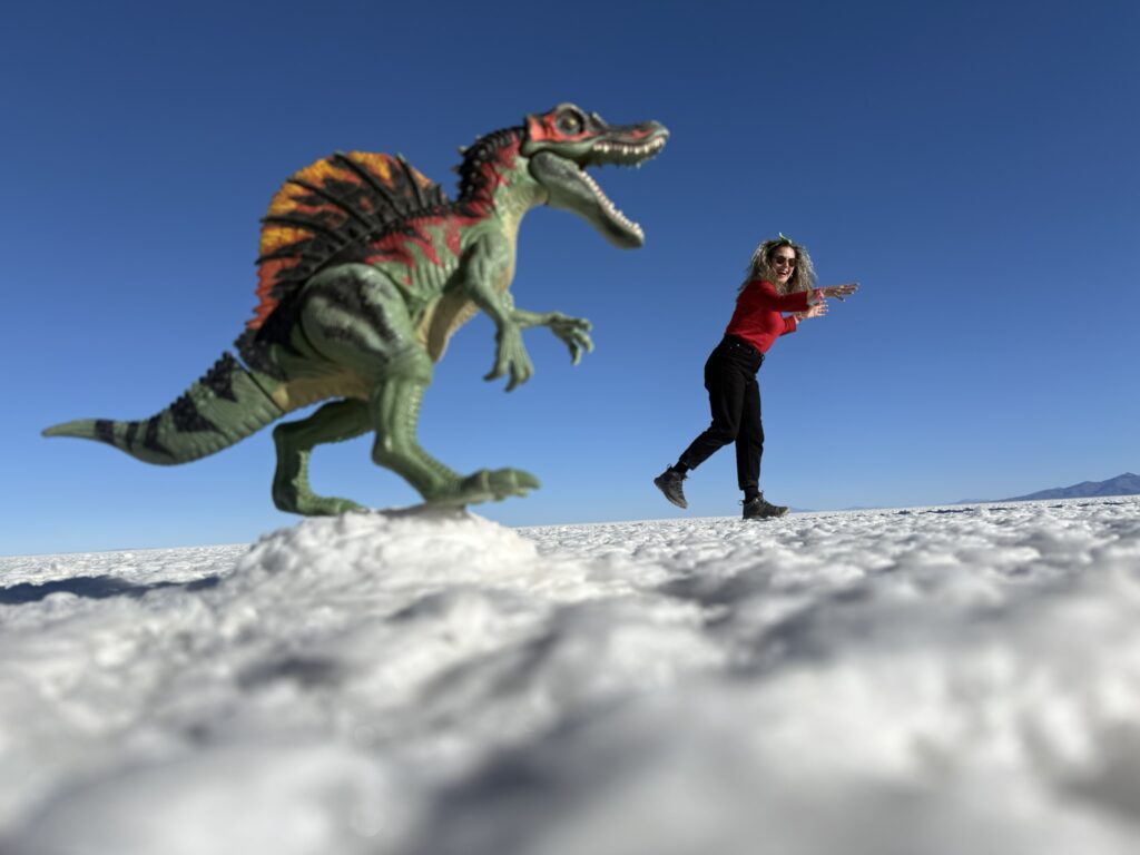 salar de ayuni¿Cómo visitar el salar de uyuni?