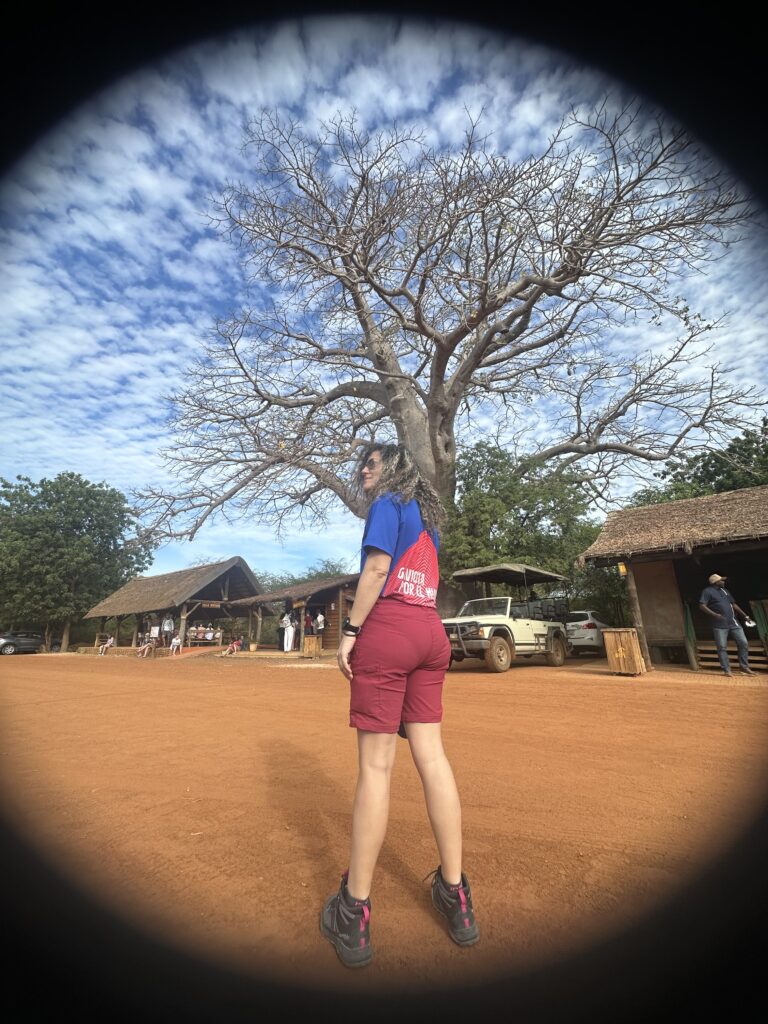 Baobab, sagrado y representativo de senegal