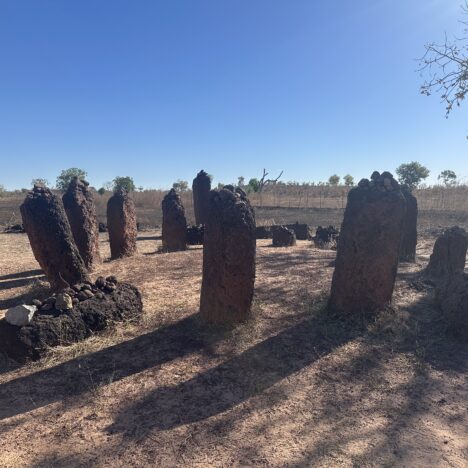 Cruce de frontera a Gambia