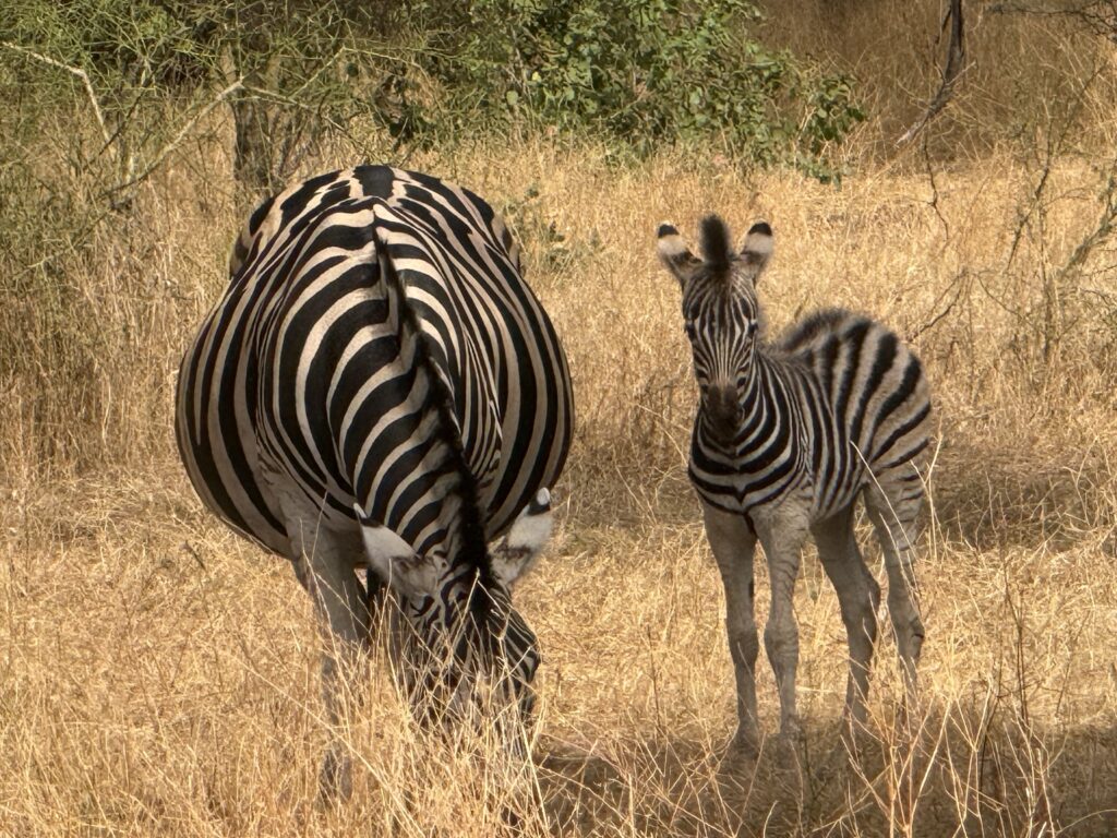 reserva de bandia en senegal