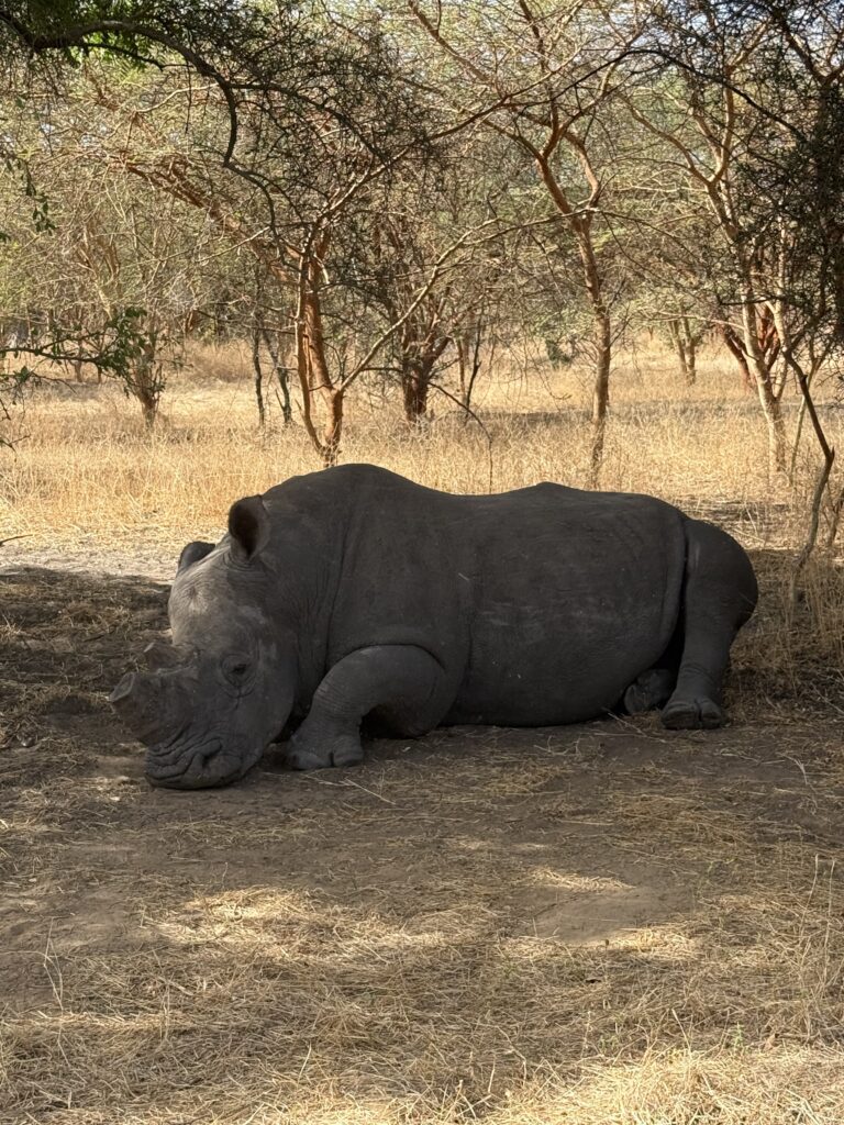 reserva de bandia en senegal