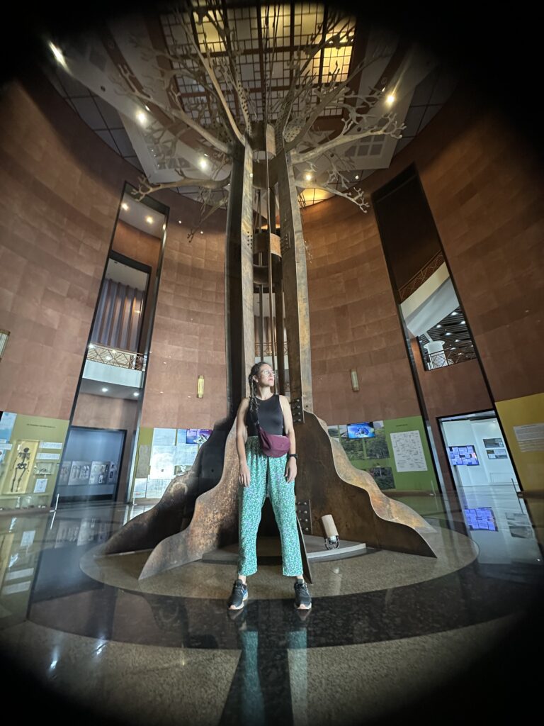 Musée des civilizations noires