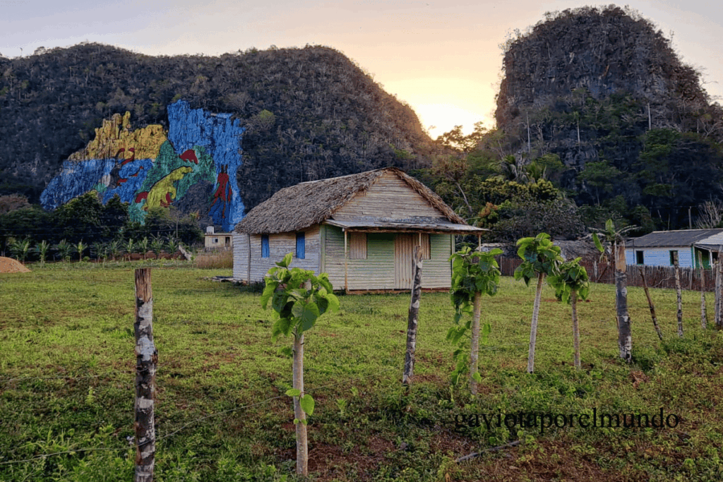 Viñales