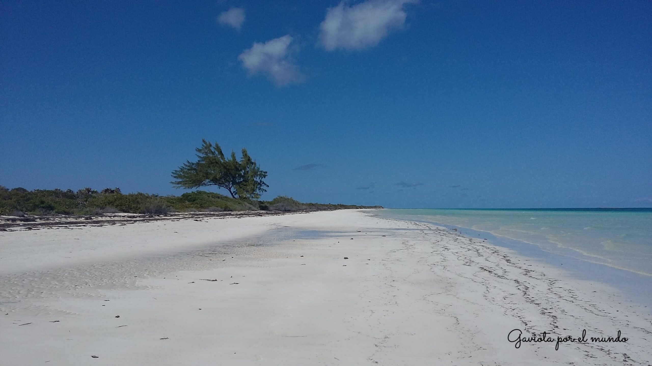 Playas de Cayo Guillermo