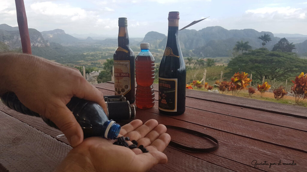 Vista desde la cima de los acuáticos en viñales