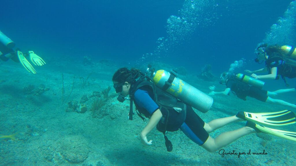 Buceo en María la Gorda