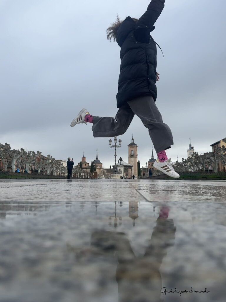 Gaviotaporelmundo en Alcalá de Henares, Plaza Cervantes.