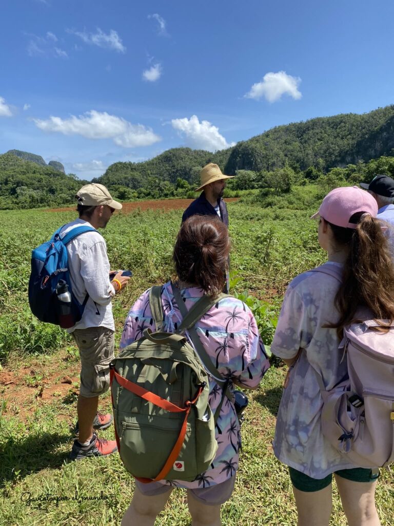 Visita una plantación de tabaco en viñales