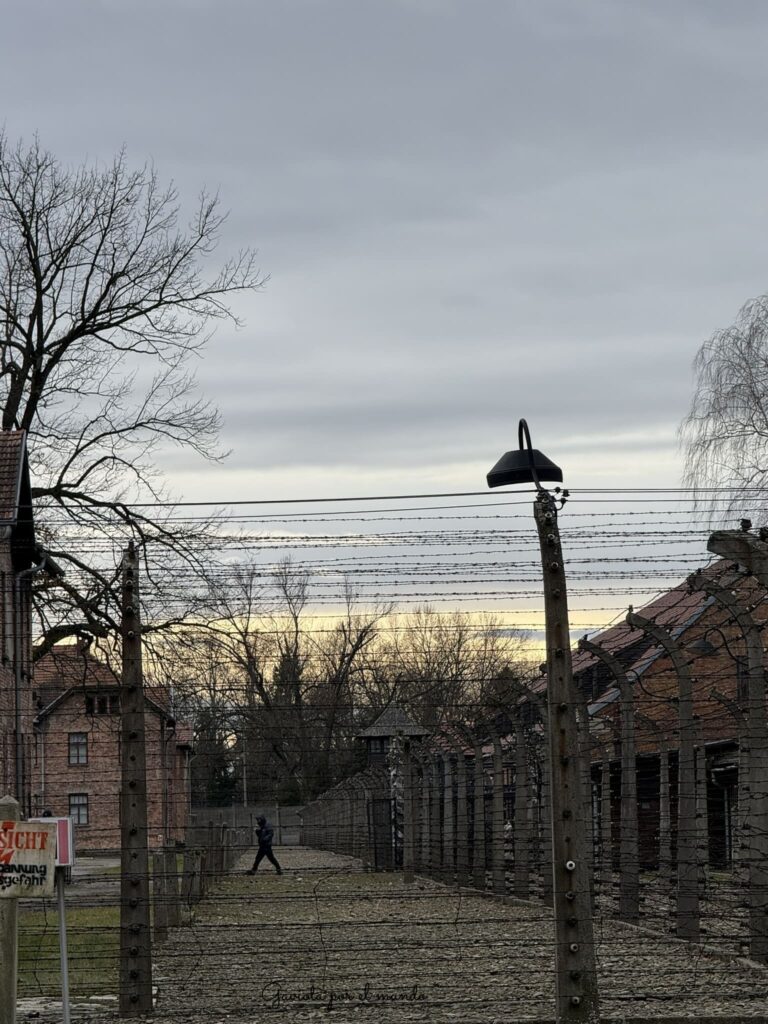 auschwitz-invierno