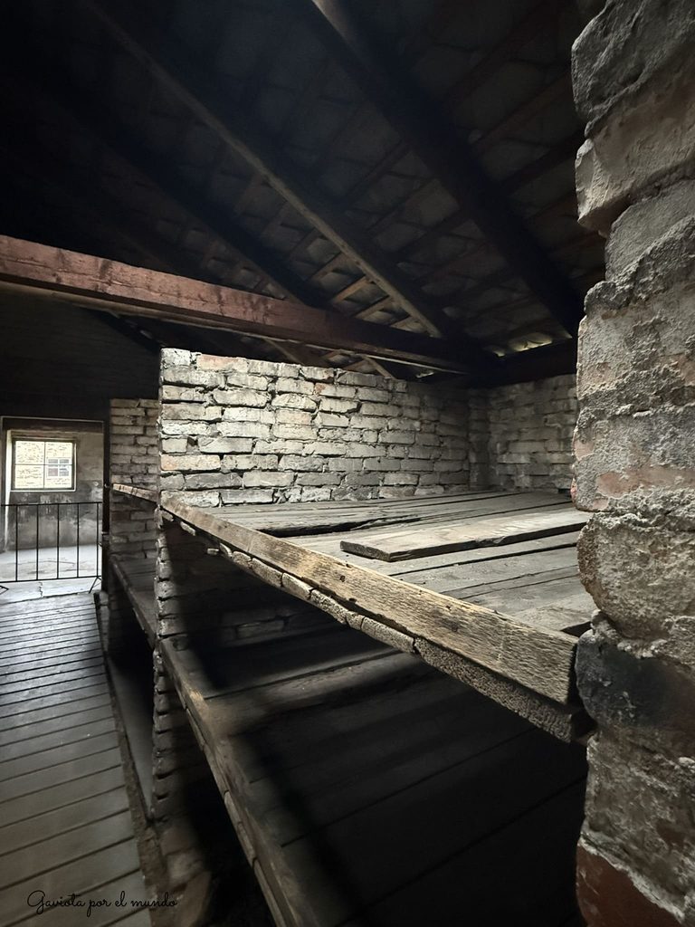 Barracones en Birkenau