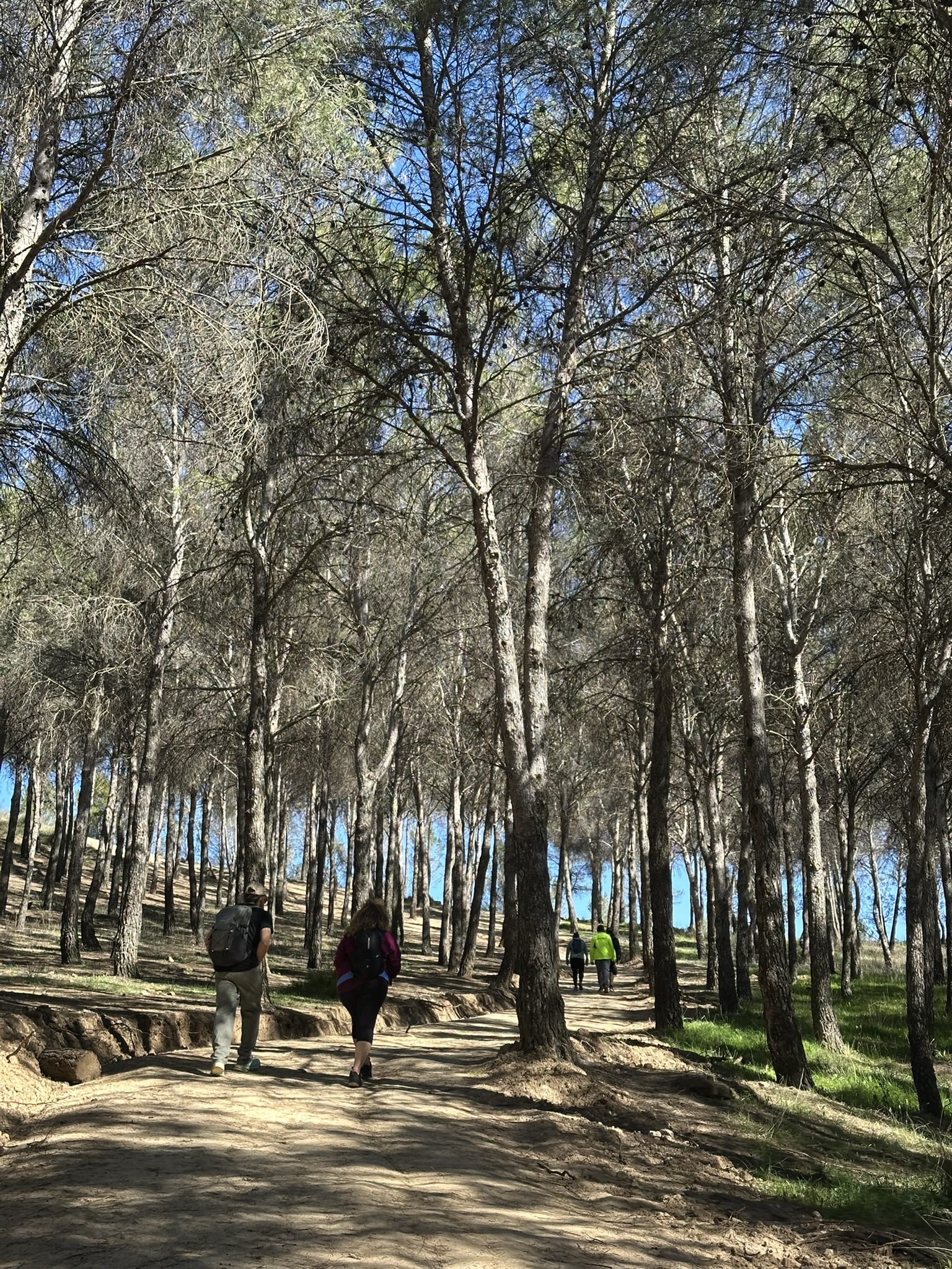 GAVIOTAPORELMUNDO | Blog de viajes | Asesorías personalizadas y Tips para viajar sin etiquetas