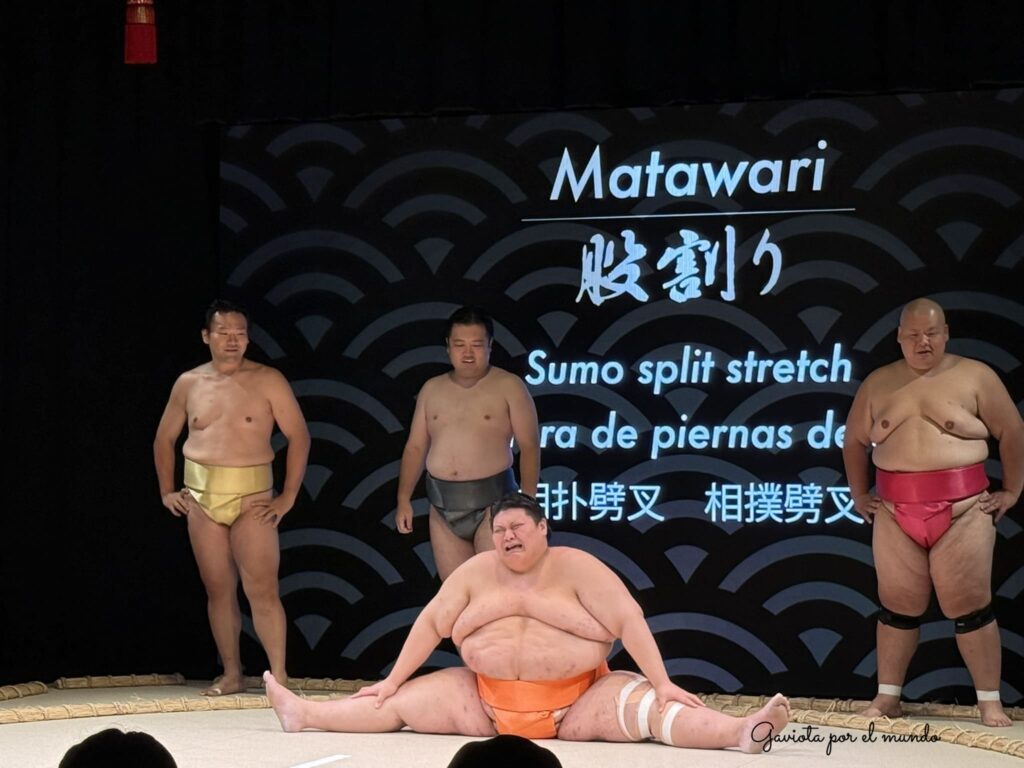 sumo de osaka
