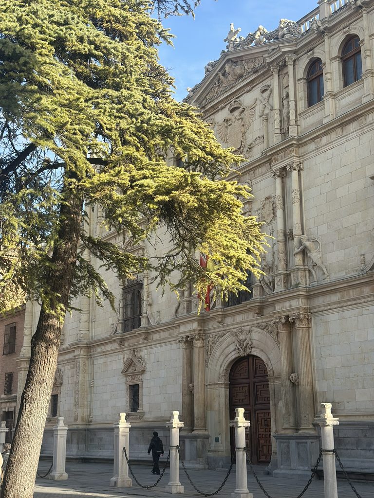 Universidad de Alcalá Henares