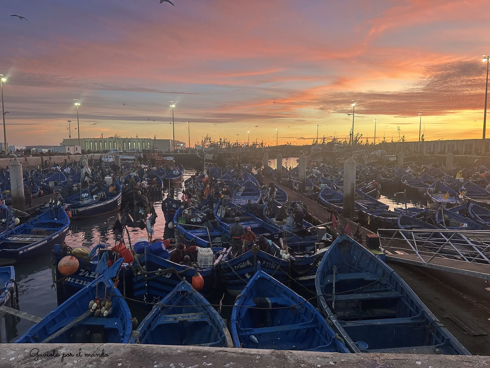 Puerto de Essaouira