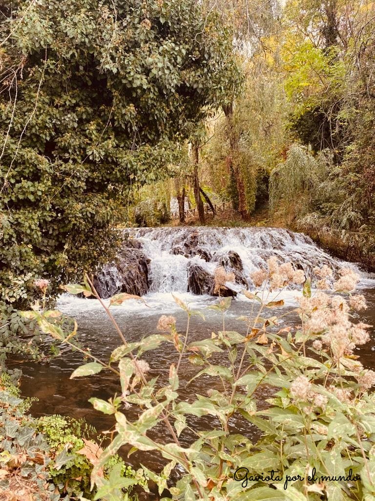 Monasterio de Piedra